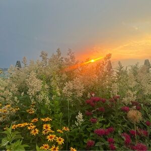 Meet your Posher, Aziza